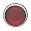 red wine vinegar icon