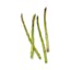 asparagus icon