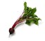 medium beet icon