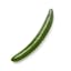 English cucumber icon