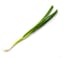 green onion icon