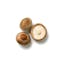 fresh shiitake mushroom icon