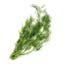 dill icon