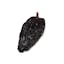 dried ancho chili icon