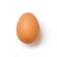 egg icon