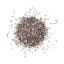 chia seeds icon