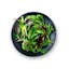 salad greens icon