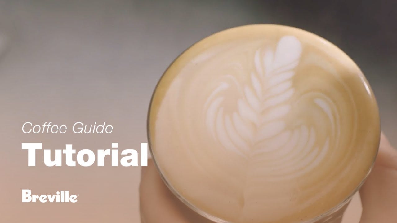 Breville coffee guide tutorial - How to create latte art: the tulip & rosetta