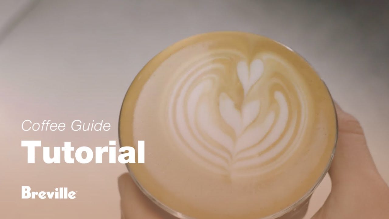 Breville coffee guide tutorial - How to create latte art: the tulip & rosetta