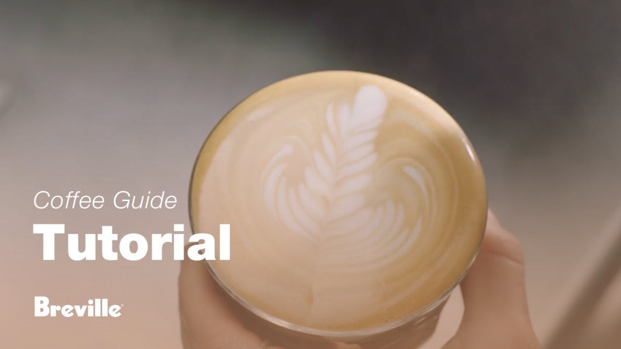 Breville coffee guide tutorial - How to create latte art: the tulip & rosetta