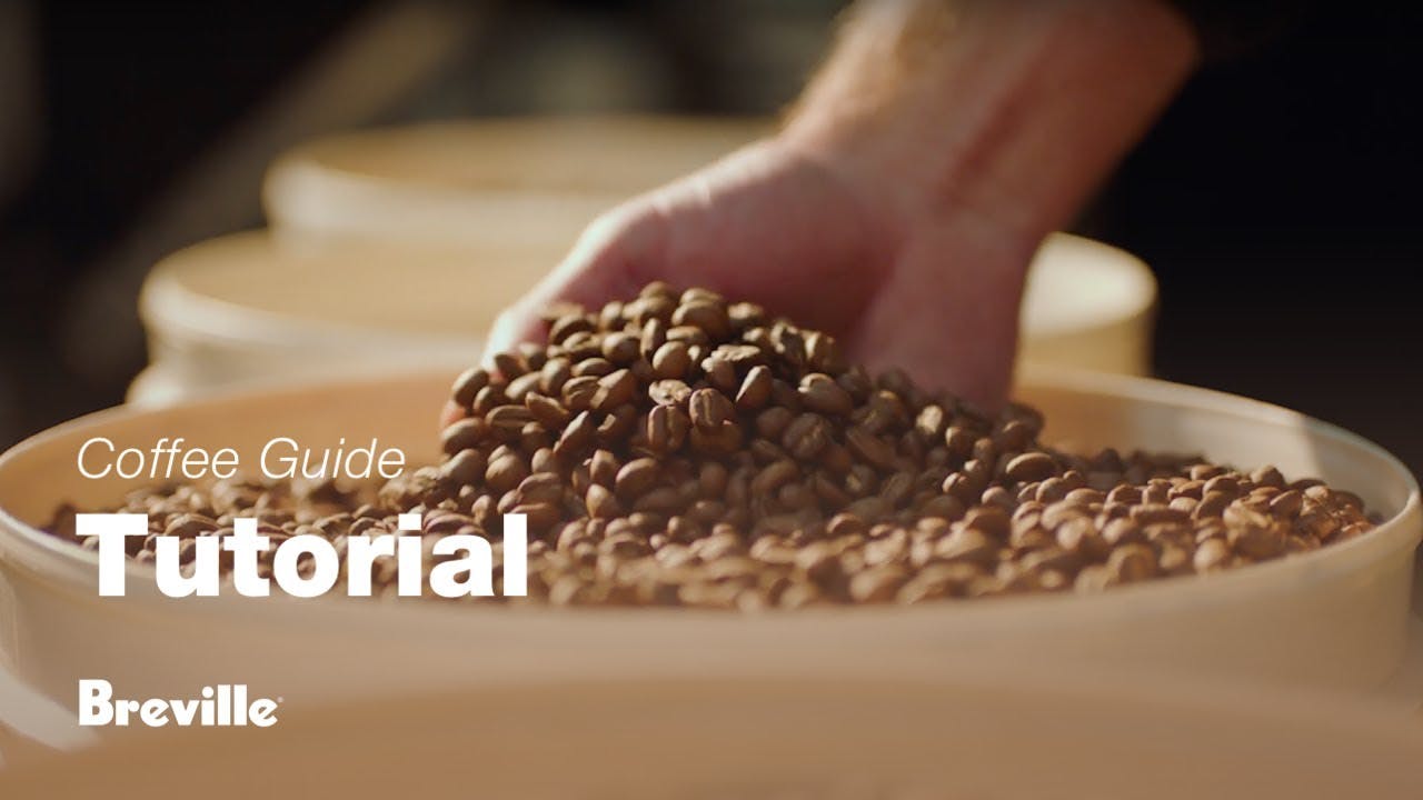 Breville coffee guide tutorial - Choosing the right beans 