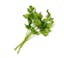 flat-leaf parsley leaves icon