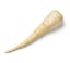 large parsnip icon