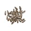 sunflower seeds icon